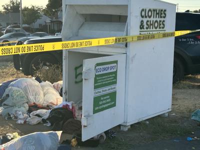 Diana Borysenko donation box death