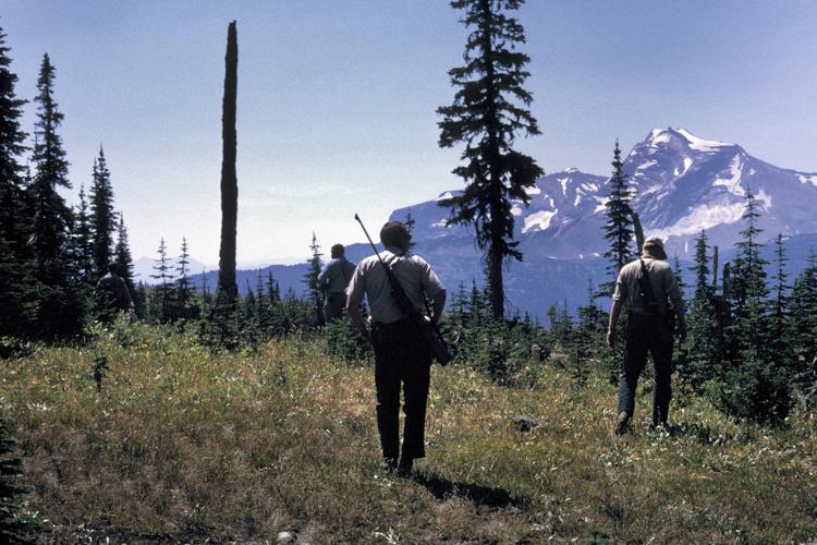 Park rangers with rifles hunt for problem grizzly bears around Granite Park Chalet in the days proceeding the fatal attack of Julie Helgeson.