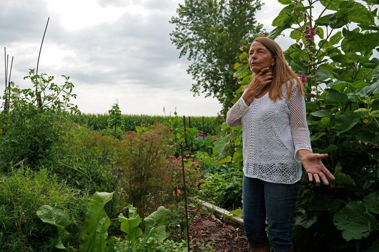 Dakota City resident expresses feelings about solar farm being built on agricultural land